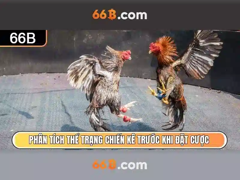 Khuyến Mãi Slot 66B