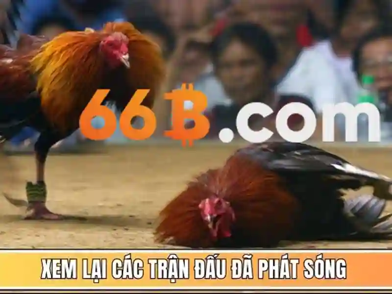 Đội Ngũ Hỗ Trợ Chuyên Nghiệp